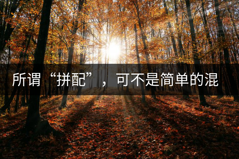 所謂“拼配”，可不是簡(jiǎn)單的混搭