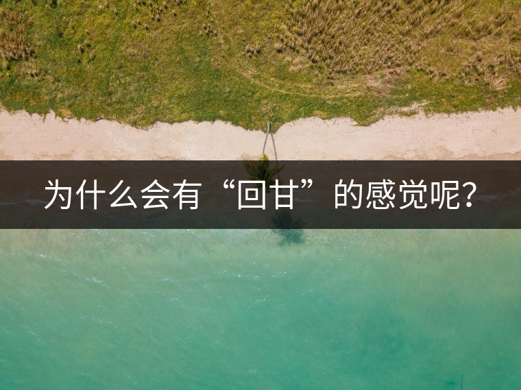 為什么會(huì)有“回甘”的感覺呢？
