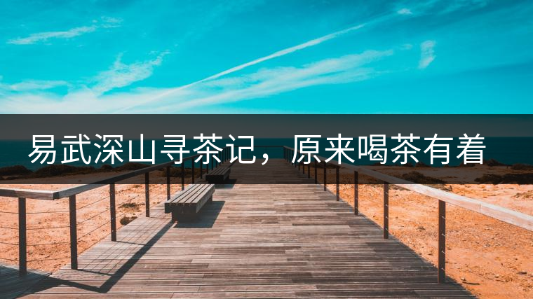 易武深山尋茶記，原來(lái)喝茶有著這么多誤區(qū)