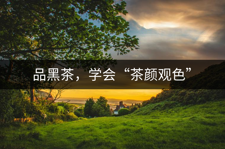 品黑茶，學(xué)會(huì)“茶顏觀色”