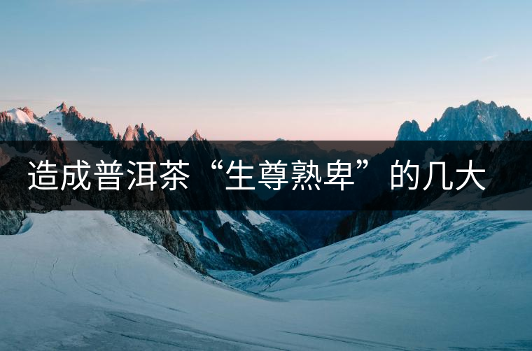 造成普洱茶“生尊熟卑”的幾大原因 造成普洱茶“生尊熟卑”的幾大原因
