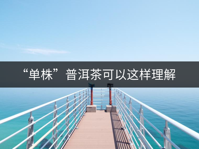 “單株”普洱茶可以這樣理解