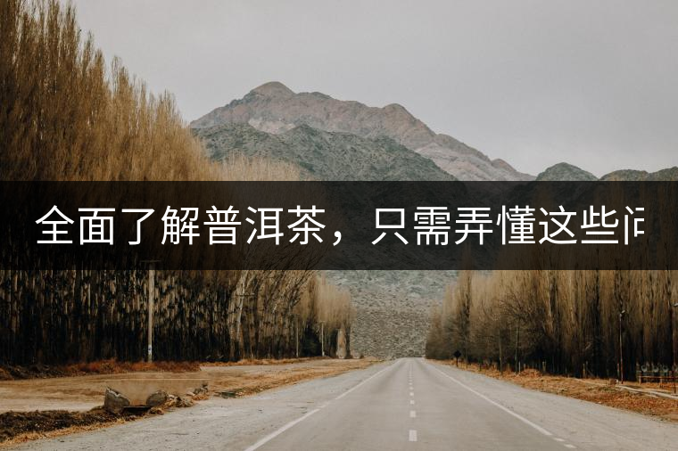 全面了解普洱茶，只需弄懂這些問題！