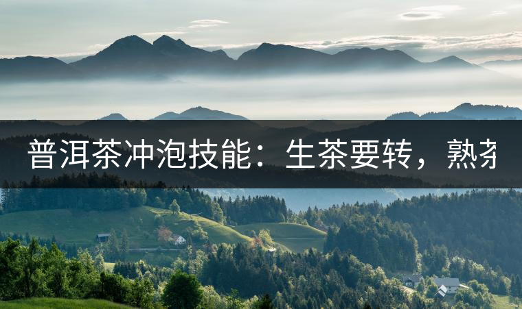 普洱茶沖泡技能：生茶要轉(zhuǎn)，熟茶要柔！