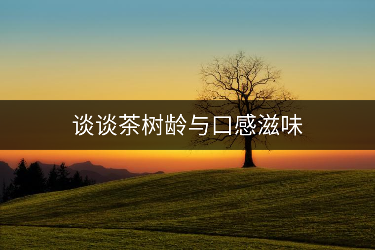 談談茶樹齡與口感滋味