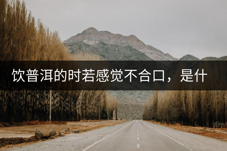 飲普洱的時若感覺不合口，是什么原呢？