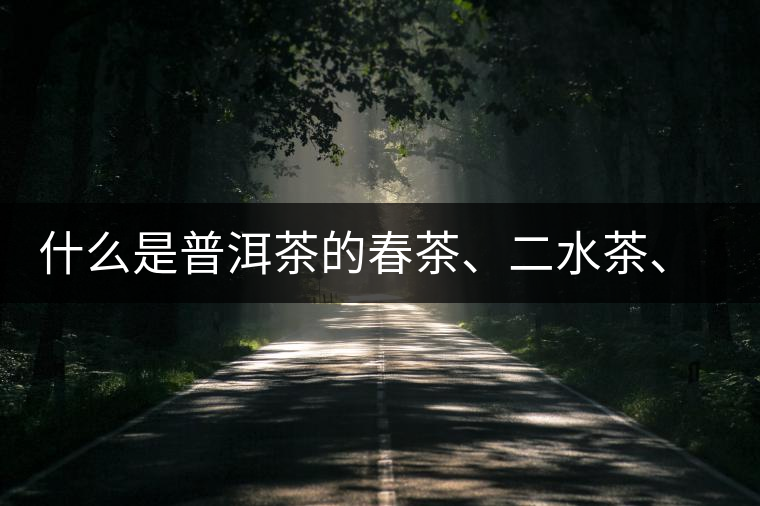 什么是普洱茶的春茶、二水茶、三水茶、四水茶