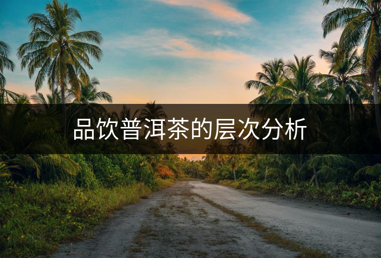 品飲普洱茶的層次分析 品飲普洱茶的層次分析