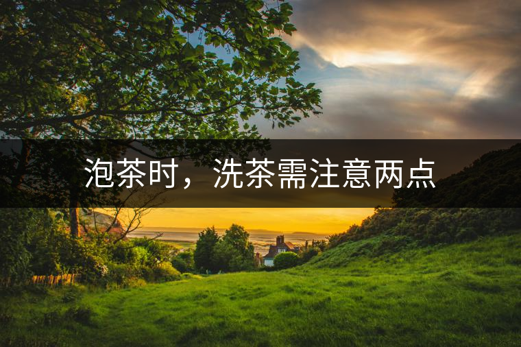 泡茶時，洗茶需注意兩點
