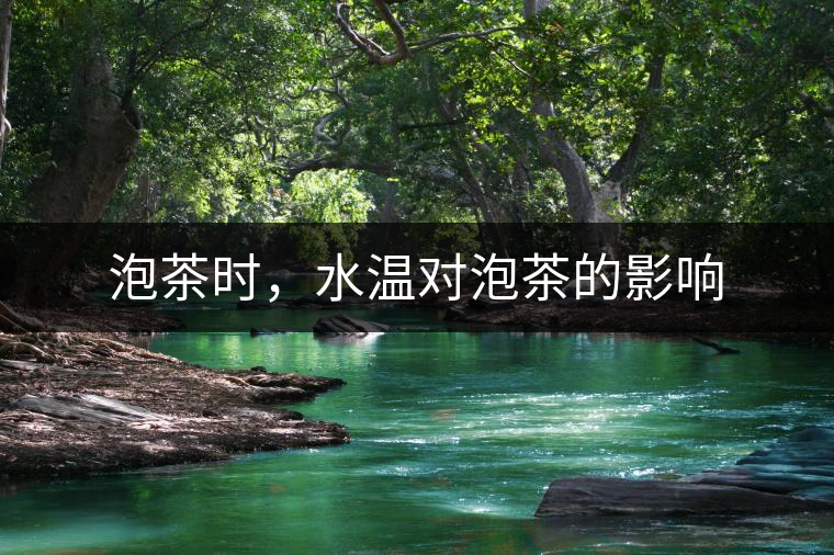 泡茶時(shí),水溫對(duì)泡茶的影響 泡茶時(shí),水溫對(duì)泡茶的影響