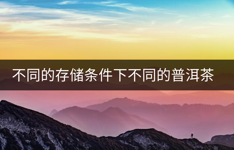 不同的存儲條件下不同的普洱茶倉位解析 不同的存儲條件下不同的普洱茶倉位解析