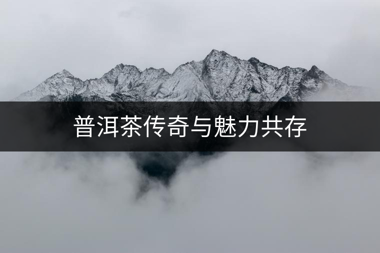普洱茶傳奇與魅力共存 普洱茶傳奇與魅力共存