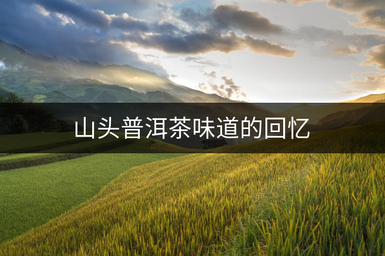 山頭普洱茶味道的回憶 山頭普洱茶味道的回憶