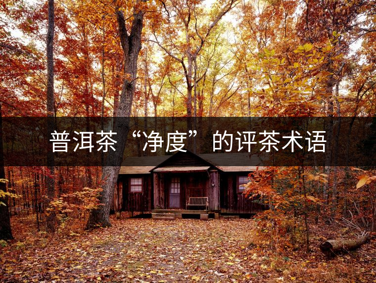 普洱茶“凈度”的評(píng)茶術(shù)語