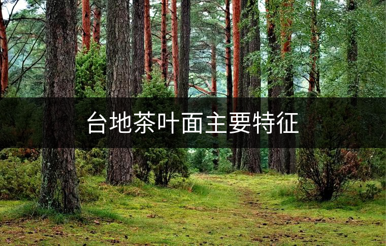臺地茶葉面主要特征