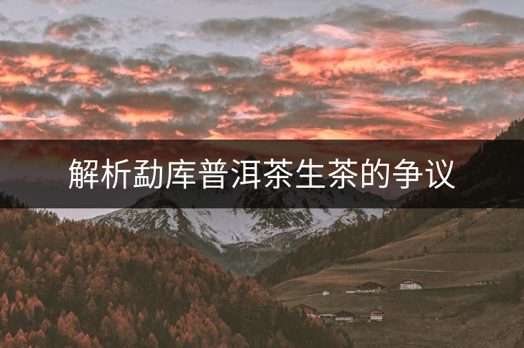 解析勐庫普洱茶生茶的爭議
