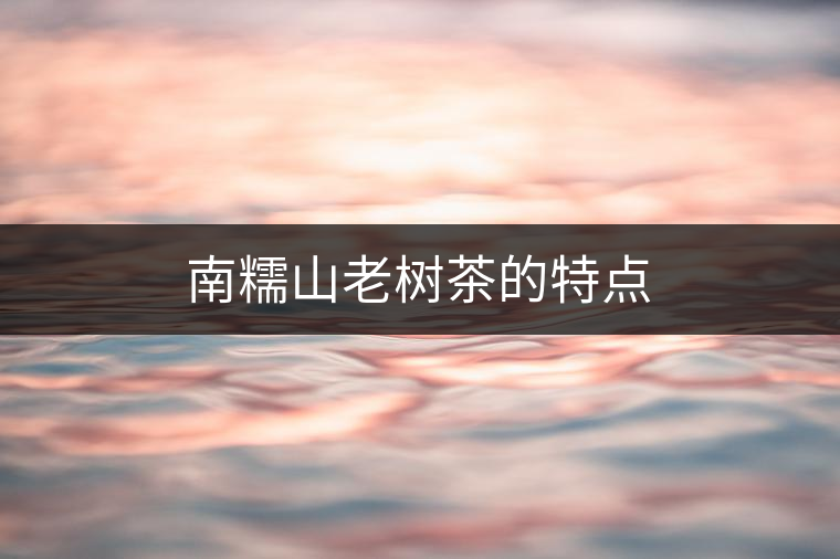 南糯山老樹茶的特點 南糯山老樹茶的特點