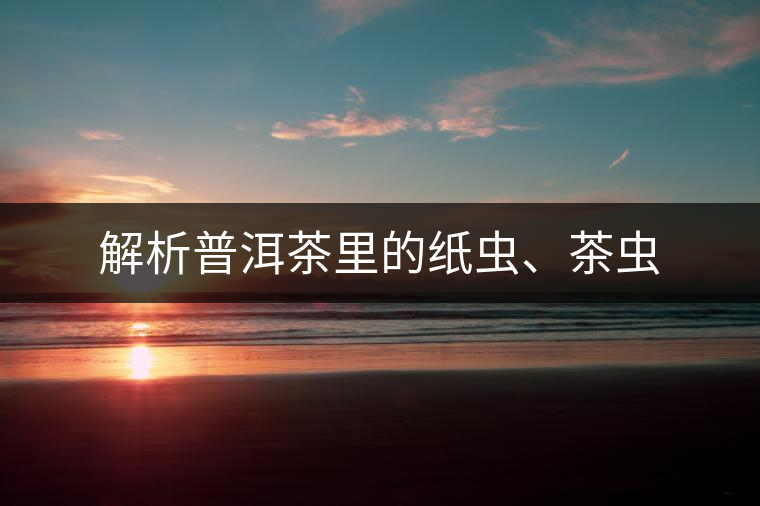 解析普洱茶里的紙蟲、茶蟲