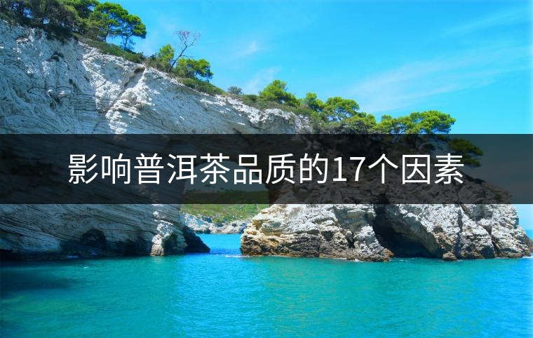 影響普洱茶品質的17個因素