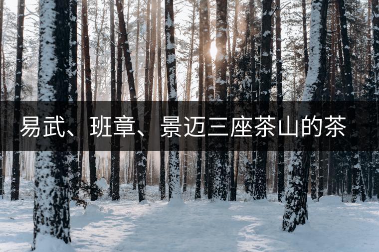 易武、班章、景邁三座茶山的茶比較