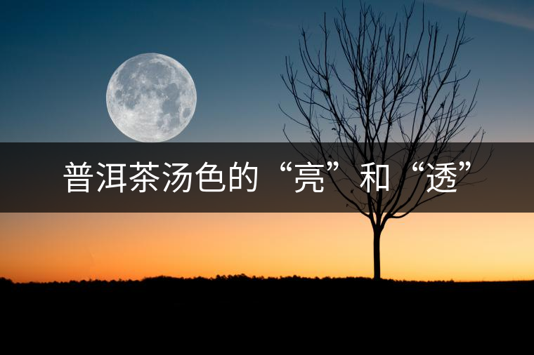 普洱茶湯色的“亮”和“透” 普洱茶湯色的“亮”和“透”