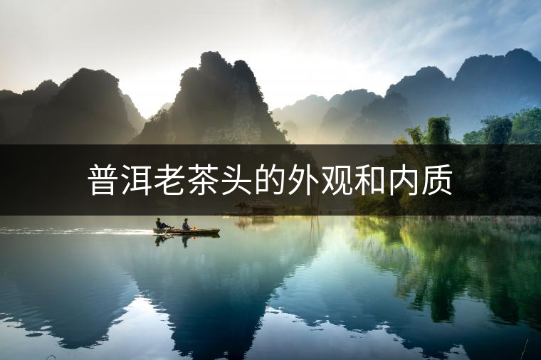 普洱老茶頭的外觀和內(nèi)質(zhì) 普洱老茶頭的外觀和內(nèi)質(zhì)