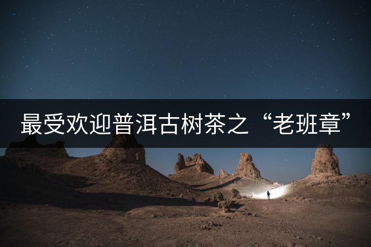 最受歡迎普洱古樹(shù)茶之“老班章”