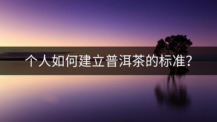 個人如何建立普洱茶的標(biāo)準(zhǔn)？