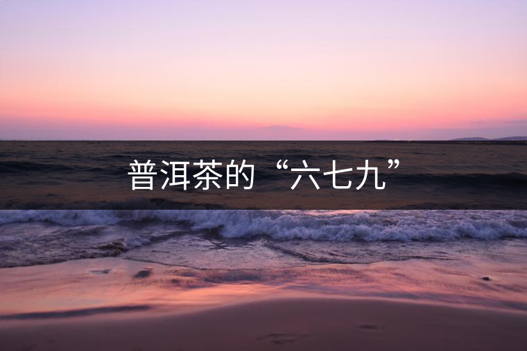 普洱茶的“六七九” 普洱茶的“六七九”