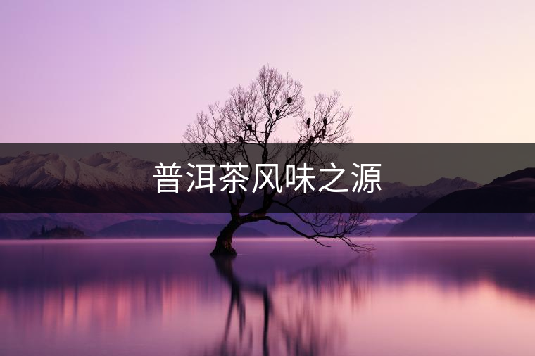 普洱茶風(fēng)味之源