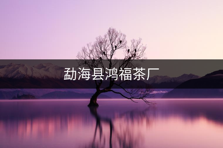 勐?？h鴻福茶廠