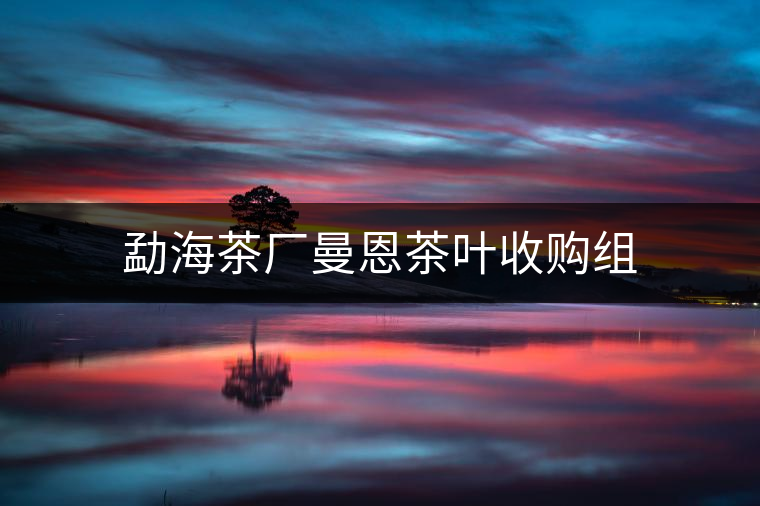 勐海茶廠曼恩茶葉收購組 勐海茶廠曼恩茶葉收購組