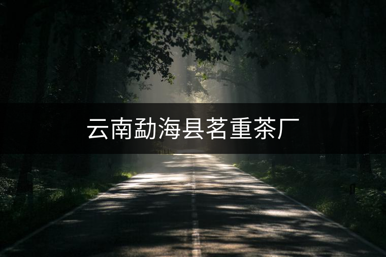 云南勐?？h茗重茶廠