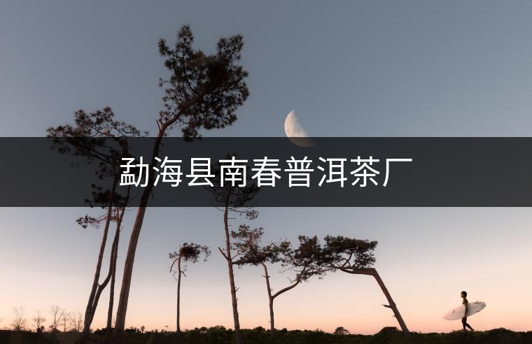 勐海縣南春普洱茶廠 勐??h南春普洱茶廠