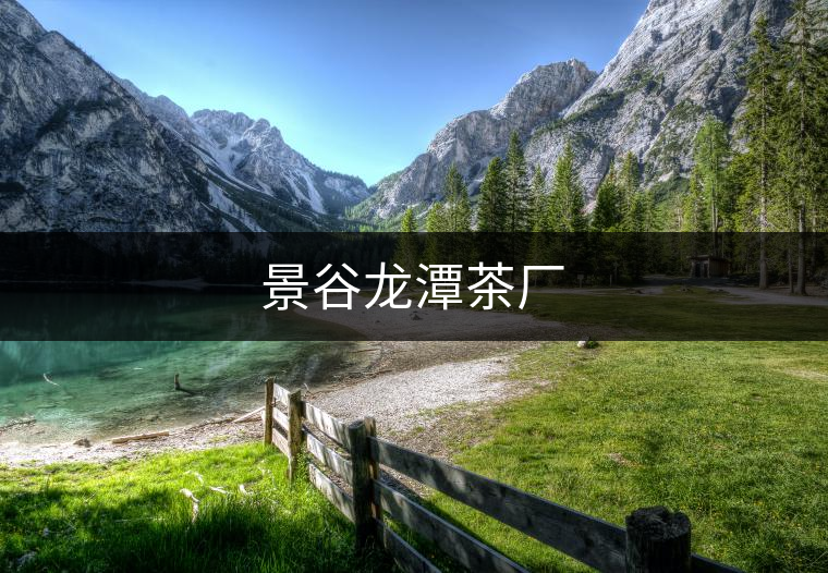景谷龍?zhí)恫鑿S(chǎng) 景谷龍?zhí)恫鑿S(chǎng)