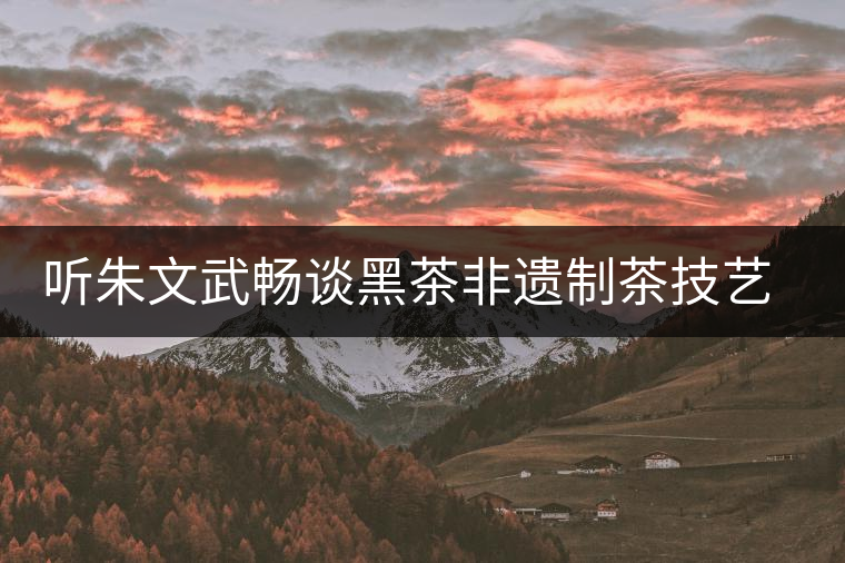 聽朱文武暢談黑茶非遺制茶技藝的市場(chǎng)的開拓之路 聽朱文武暢談黑茶非遺制茶技藝的市場(chǎng)的開拓之路