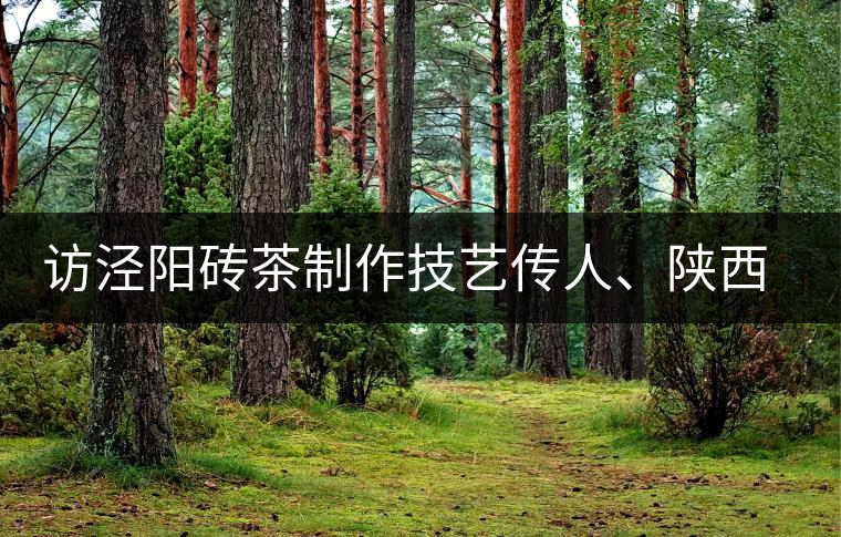 訪涇陽磚茶制作技藝傳人、陜西省非遺傳承人賈根社 訪涇陽磚茶制作技藝傳人、陜西省非遺傳承人賈根社