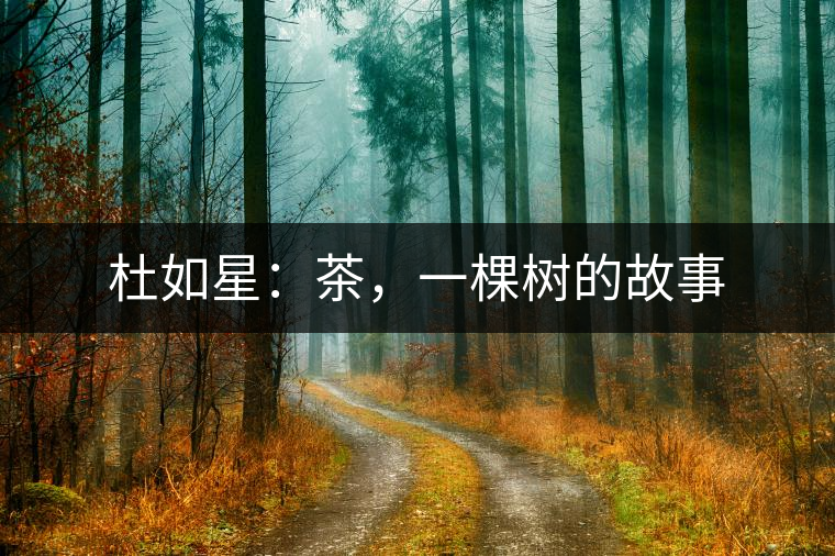 杜如星：茶，一棵樹的故事
