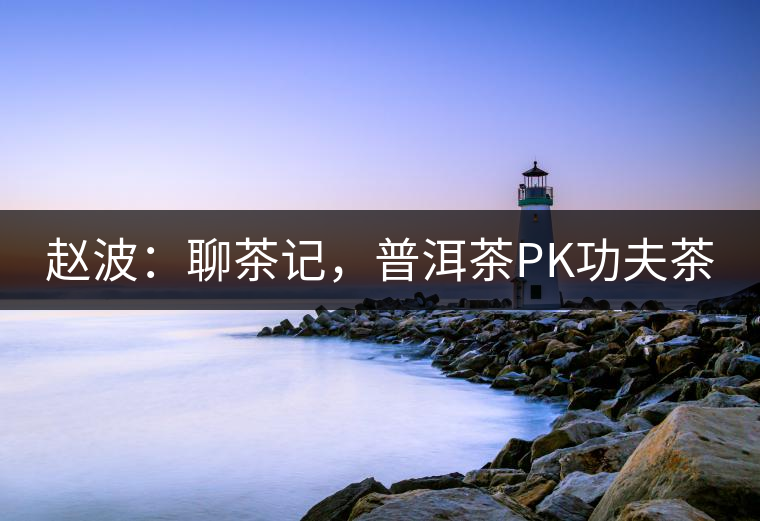 趙波：聊茶記，普洱茶PK功夫茶