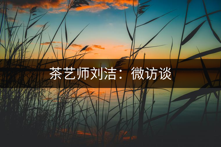 茶藝師劉潔：微訪談