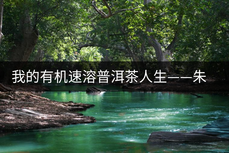 我的有機速溶普洱茶人生——朱向東