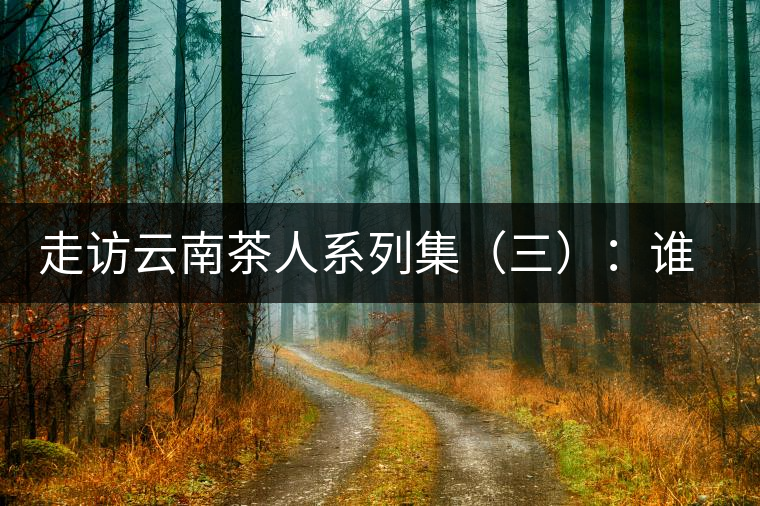 走訪(fǎng)云南茶人系列集（三）：誰(shuí)說(shuō)普洱不產(chǎn)茶？——張順高