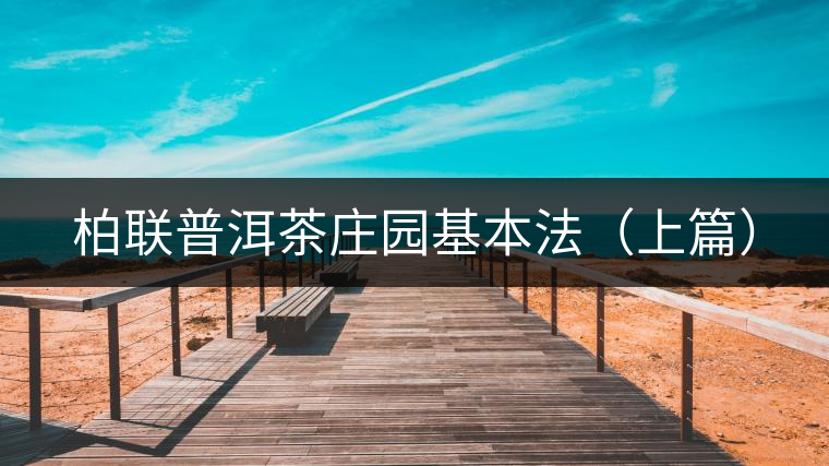 柏聯(lián)普洱茶莊園基本法(上篇) 柏聯(lián)普洱茶莊園基本法(上篇)