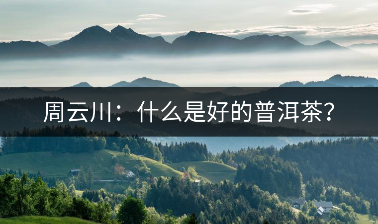 周云川：什么是好的普洱茶？