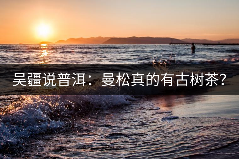 吳疆說普洱：曼松真的有古樹茶？