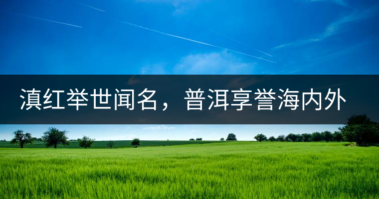 滇紅舉世聞名，普洱享譽(yù)海內(nèi)外丨專家座談——虞富蓮