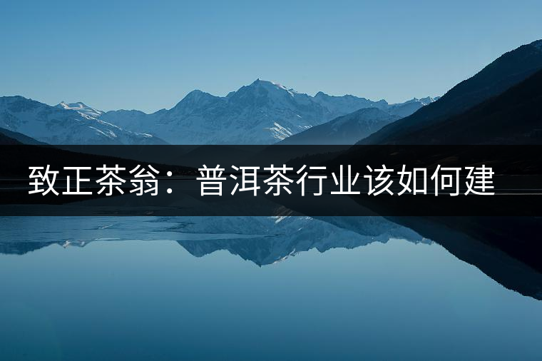 致正茶翁：普洱茶行業(yè)該如何建立正確的口感體系？