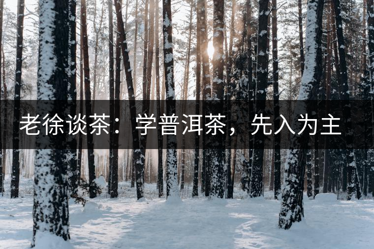 老徐談茶：學(xué)普洱茶，先入為主易被打臉，還得實踐出真知！