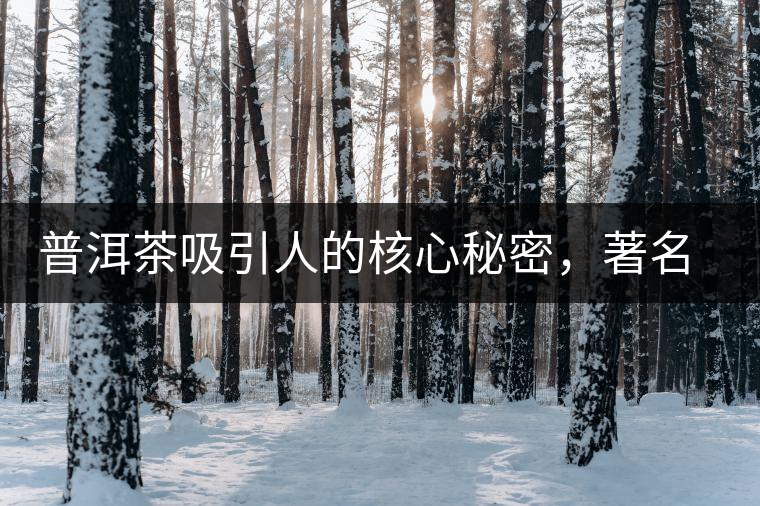 普洱茶吸引人的核心秘密，著名作家余秋雨先生三句話就告訴你