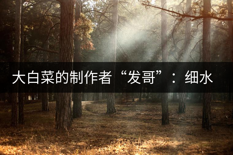 大白菜的制作者“發(fā)哥”：細(xì)水長(zhǎng)流，做茶“急不得”